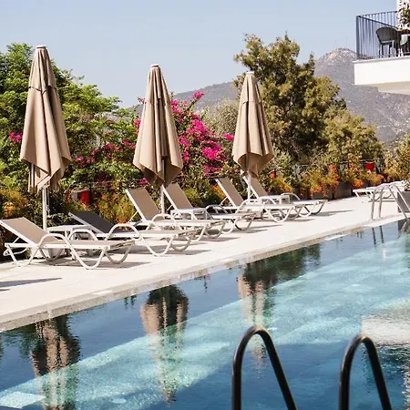 Hotel Payava By True Blue